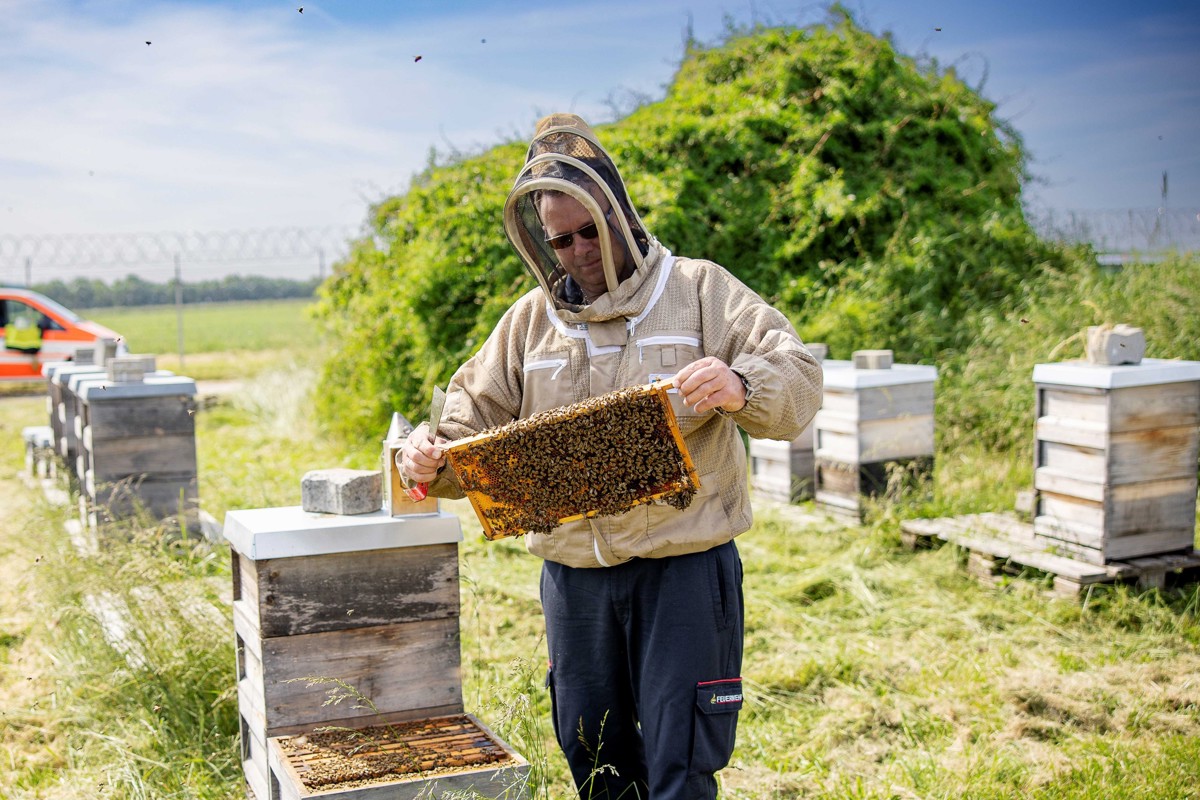 Ein Imker am Flughafen Stuttgart hält eine Wabe voller Bienen in den Händen. Im Hintergrund stehen mehrere Bienenstöcke und ein Einsatzwagen ist geparkt.