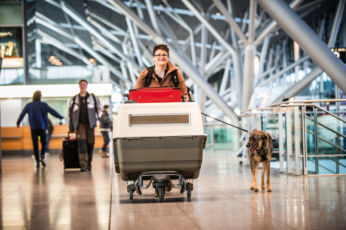 Frau mit Hund und Hundebox im Terminal unterwegs